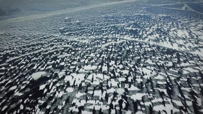 Fotoğraf: TRT Haber